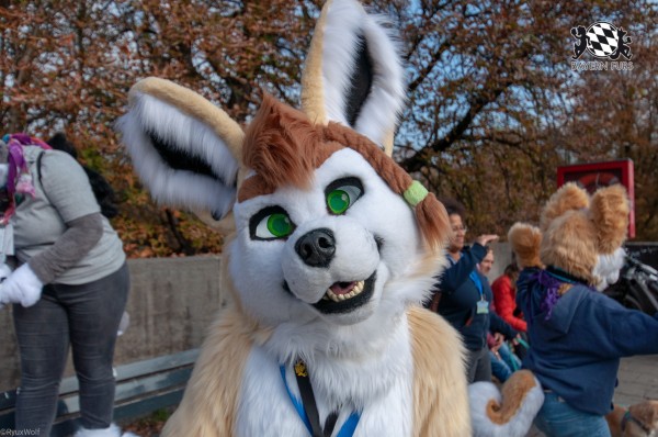 MSW5 151 von RyuxWolf MSW5 151 von RyuxWolf