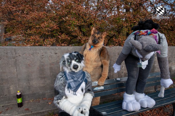 MSW5 153 von RyuxWolf MSW5 153 von RyuxWolf