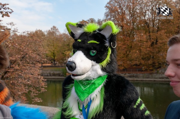 MSW5 155 von RyuxWolf MSW5 155 von RyuxWolf