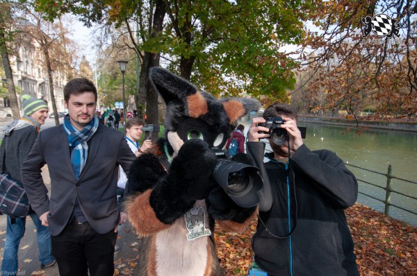 MSW5 159 von RyuxWolf MSW5 159 von RyuxWolf