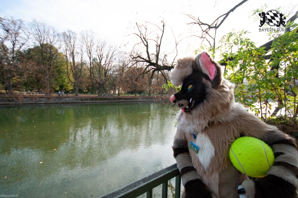 MSW5 160 von RyuxWolf MSW5 160 von RyuxWolf