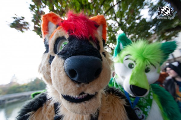 MSW5 163 von RyuxWolf MSW5 163 von RyuxWolf