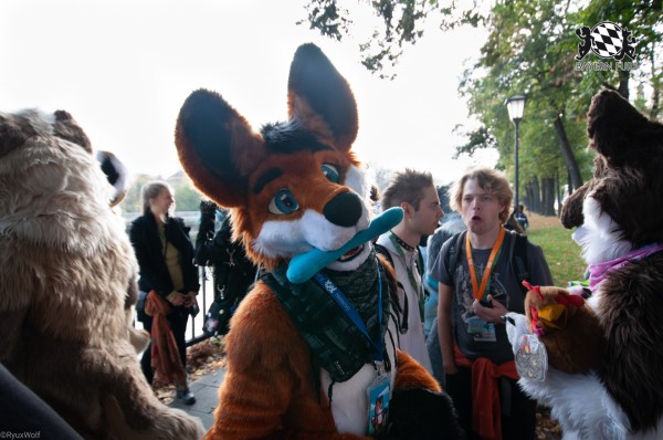 MSW5 164 von RyuxWolf MSW5 164 von RyuxWolf