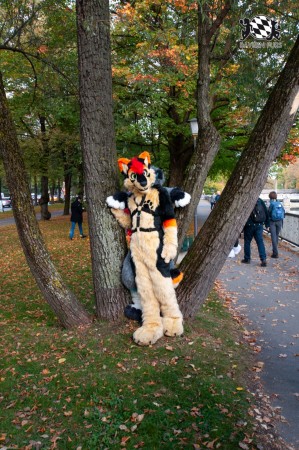 MSW5 167 von RyuxWolf MSW5 167 von RyuxWolf