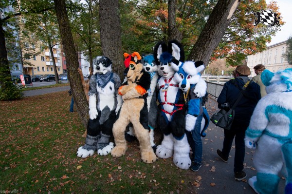 MSW5 168 von RyuxWolf MSW5 168 von RyuxWolf