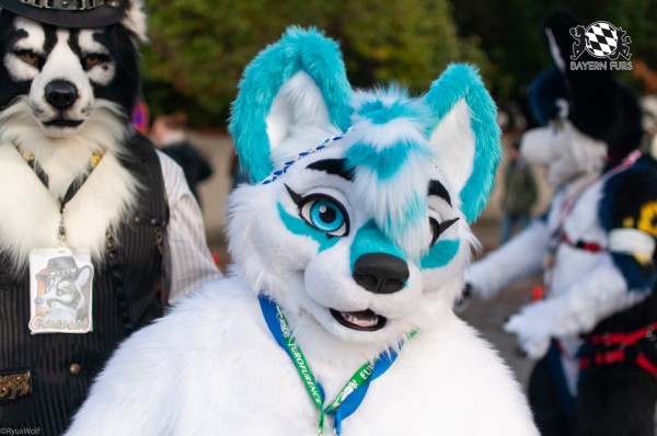 MSW5 169 von RyuxWolf MSW5 169 von RyuxWolf