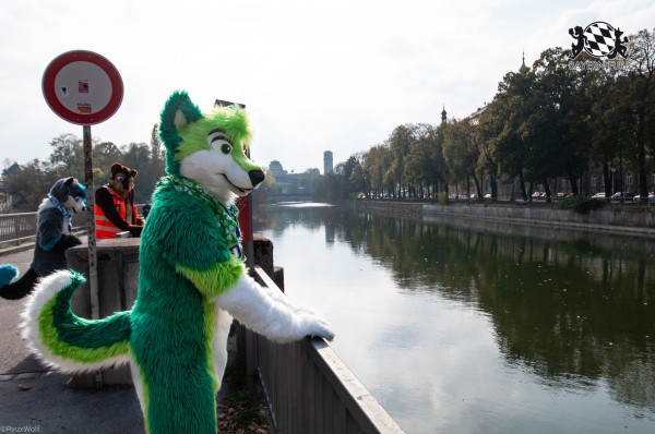 MSW5 179 von RyuxWolf MSW5 179 von RyuxWolf