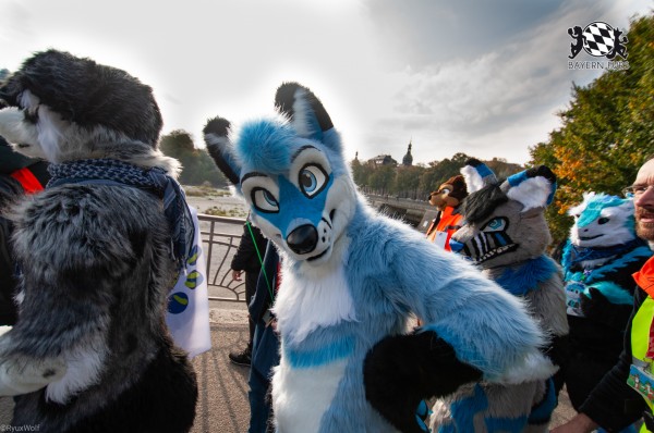 MSW5 183 von RyuxWolf MSW5 183 von RyuxWolf