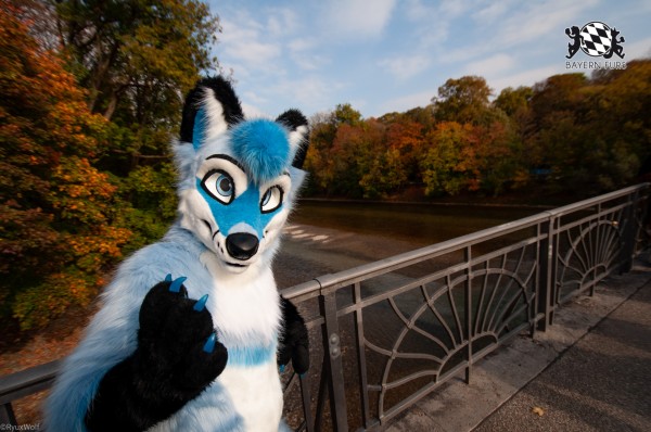 MSW5 184 von RyuxWolf MSW5 184 von RyuxWolf