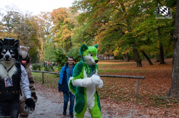 MSW5 201 von RyuxWolf MSW5 201 von RyuxWolf