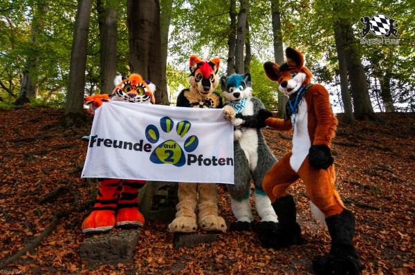 MSW5 203 von RyuxWolf MSW5 203 von RyuxWolf