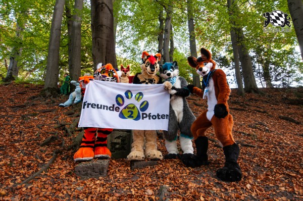 MSW5 204 von RyuxWolf MSW5 204 von RyuxWolf