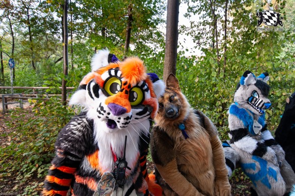 MSW5 205 von RyuxWolf MSW5 205 von RyuxWolf