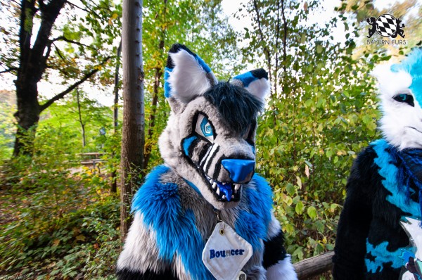 MSW5 206 von RyuxWolf MSW5 206 von RyuxWolf