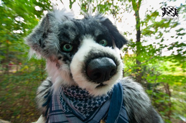 MSW5 208 von RyuxWolf MSW5 208 von RyuxWolf