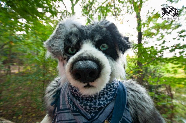 MSW5 209 von RyuxWolf MSW5 209 von RyuxWolf