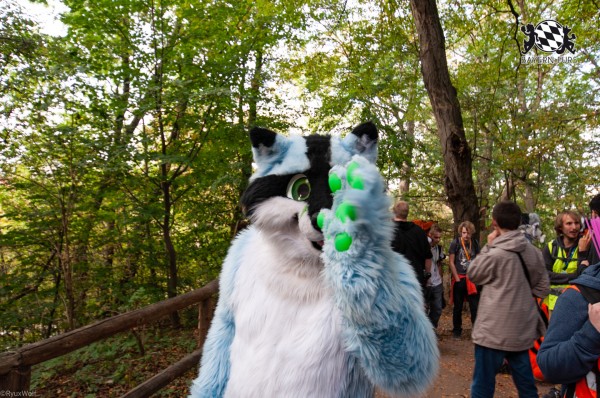 MSW5 210 von RyuxWolf MSW5 210 von RyuxWolf