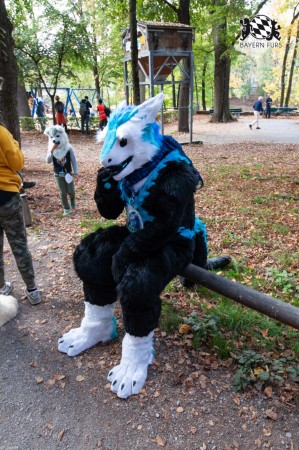 MSW5 211 von RyuxWolf MSW5 211 von RyuxWolf