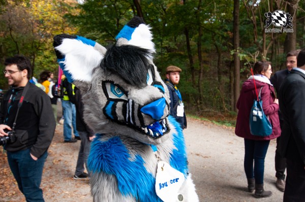 MSW5 212 von RyuxWolf MSW5 212 von RyuxWolf