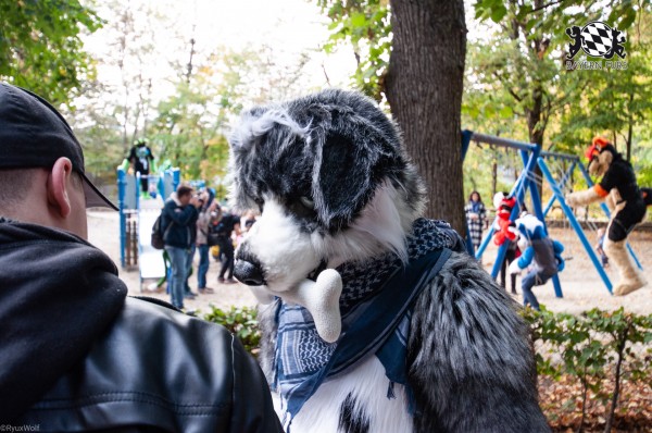 MSW5 213 von RyuxWolf MSW5 213 von RyuxWolf