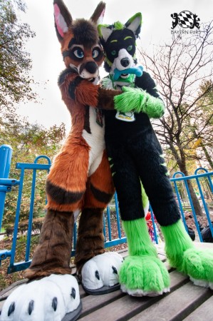 MSW5 216 von RyuxWolf MSW5 216 von RyuxWolf