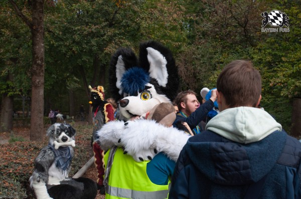 MSW5 217 von RyuxWolf MSW5 217 von RyuxWolf