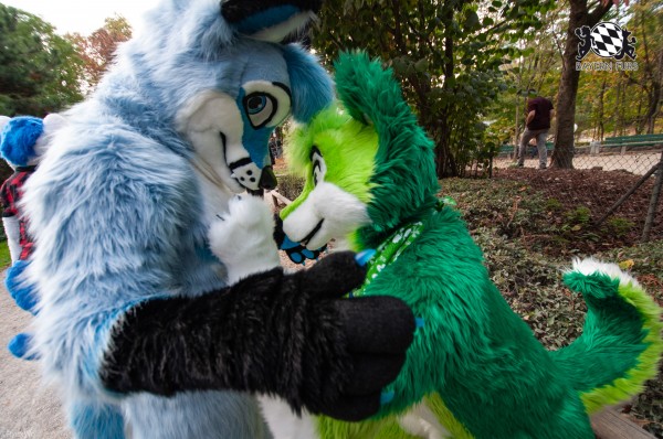 MSW5 219 von RyuxWolf MSW5 219 von RyuxWolf