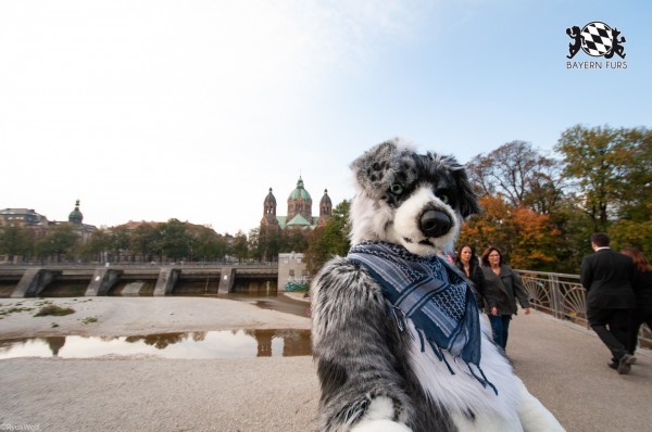 MSW5 224 von RyuxWolf MSW5 224 von RyuxWolf