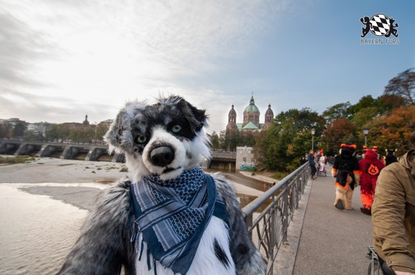 MSW5 225 von RyuxWolf MSW5 225 von RyuxWolf