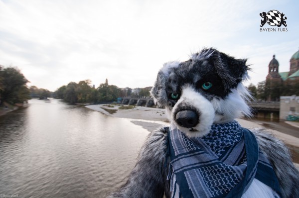 MSW5 226 von RyuxWolf MSW5 226 von RyuxWolf