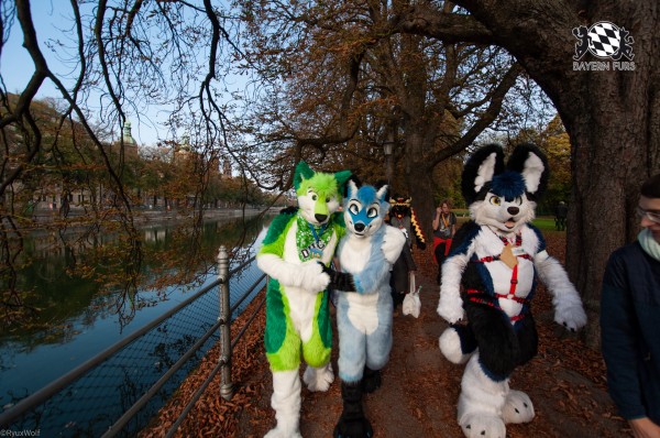 MSW5 231 von RyuxWolf MSW5 231 von RyuxWolf