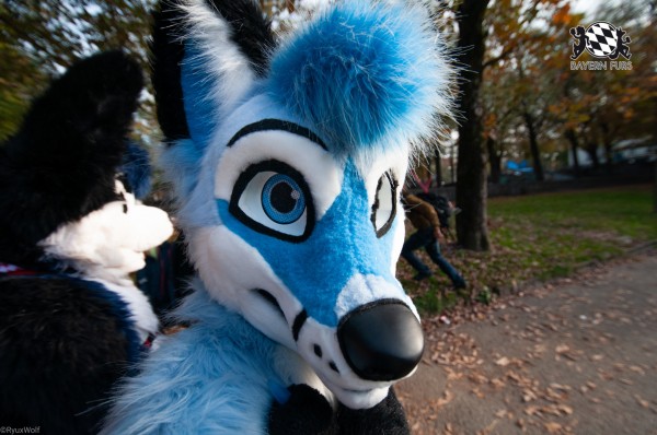 MSW5 233 von RyuxWolf MSW5 233 von RyuxWolf