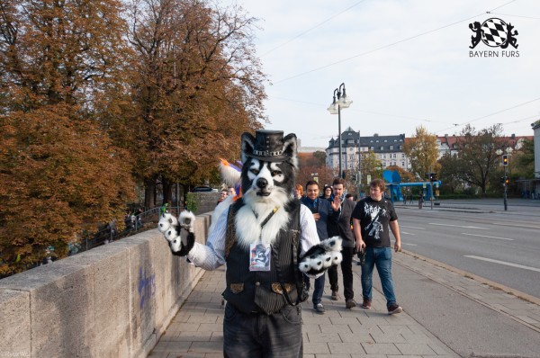 MSW5 235 von RyuxWolf MSW5 235 von RyuxWolf