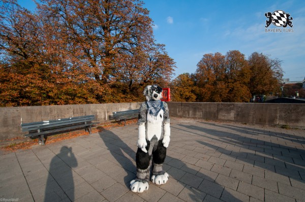 MSW5 238 von RyuxWolf MSW5 238 von RyuxWolf