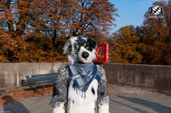 MSW5 239 von RyuxWolf MSW5 239 von RyuxWolf