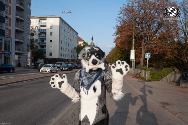 MSW5 240 von RyuxWolf MSW5 240 von RyuxWolf