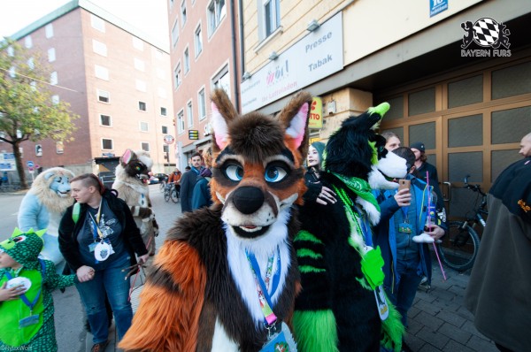 MSW5 241 von RyuxWolf MSW5 241 von RyuxWolf