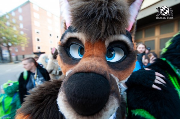 MSW5 242 von RyuxWolf MSW5 242 von RyuxWolf