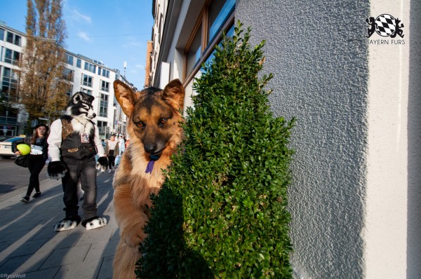 MSW5 244 von RyuxWolf MSW5 244 von RyuxWolf