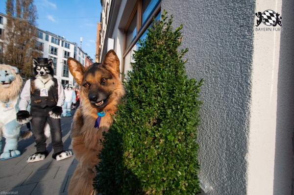 MSW5 245 von RyuxWolf MSW5 245 von RyuxWolf