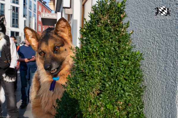 MSW5 246 von RyuxWolf MSW5 246 von RyuxWolf