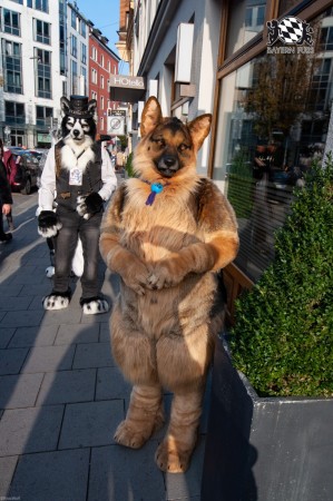 MSW5 247 von RyuxWolf MSW5 247 von RyuxWolf