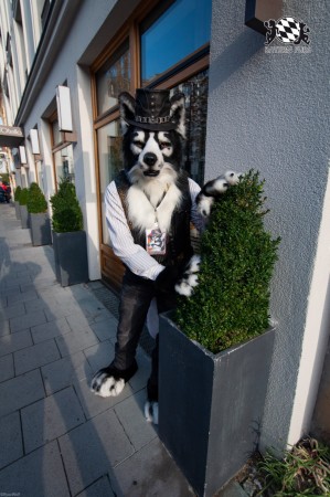 MSW5 248 von RyuxWolf MSW5 248 von RyuxWolf