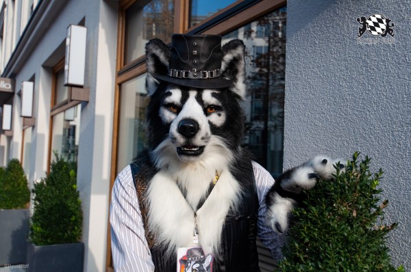 MSW5 249 von RyuxWolf MSW5 249 von RyuxWolf