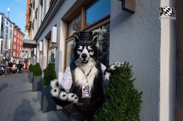 MSW5 250 von RyuxWolf MSW5 250 von RyuxWolf