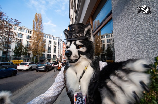 MSW5 251 von RyuxWolf MSW5 251 von RyuxWolf