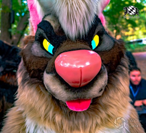 MSW5 255 von Nefires MSW5 255 von Nefires