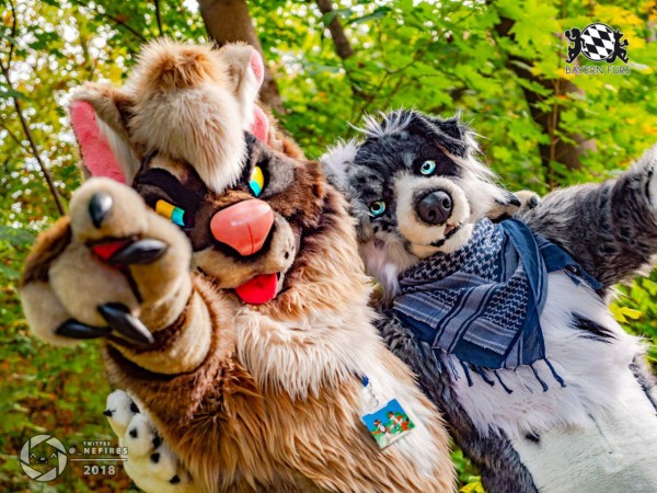 MSW5 256 von Nefires MSW5 256 von Nefires