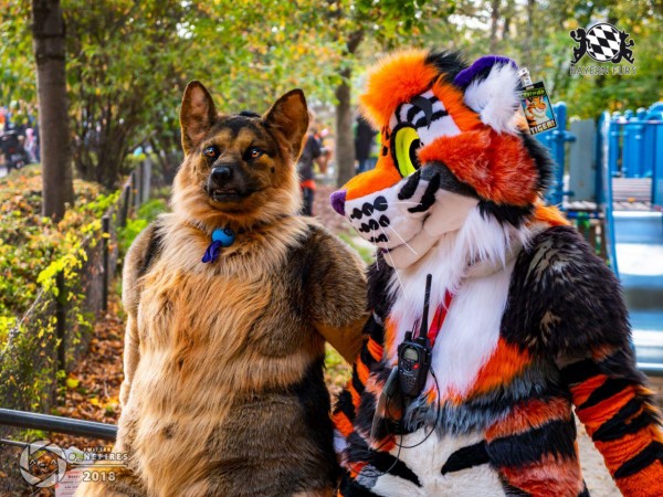 MSW5 263 von Nefires MSW5 263 von Nefires