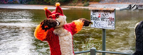 MSW5 264 von Nefires MSW5 264 von Nefires